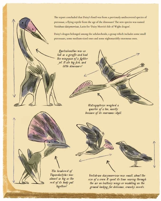 Pterosaurs page of Young Discoverers with illustrations by Violaine Leroy